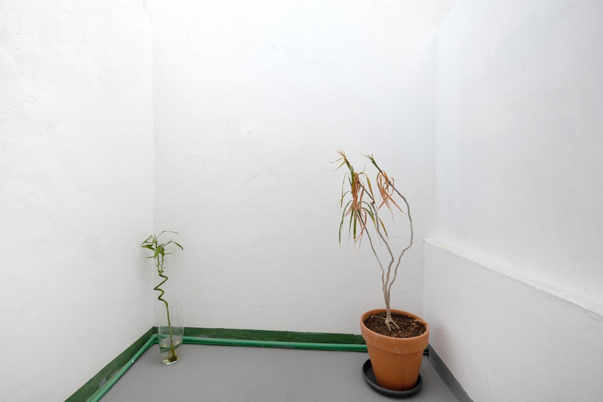 Apartamento Vista La Orotava Buitenkant foto